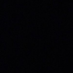 Meet your Posher, Fern